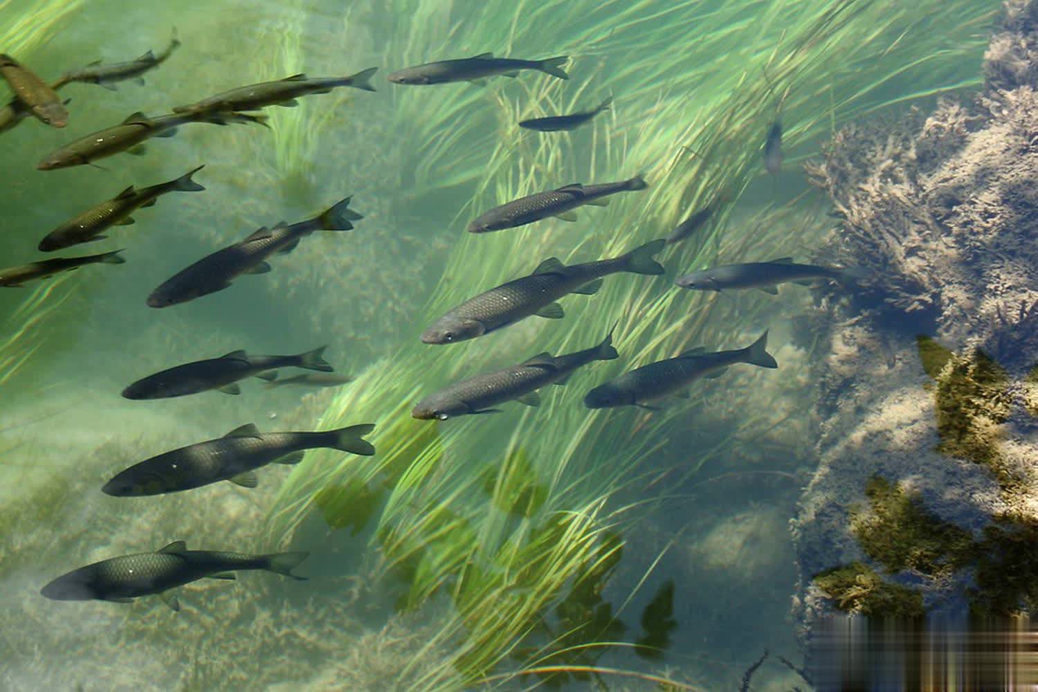 如果改用小, LQpKZ, 主要是针对 如果改用小, LQpKZ, 主要是针对