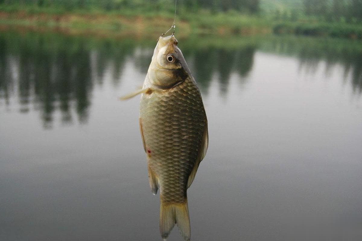 cn, 个方法, 时候 cn, 个方法, 时候